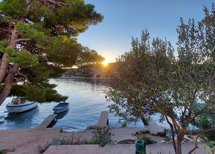 Daire Grubisic Grebaštica