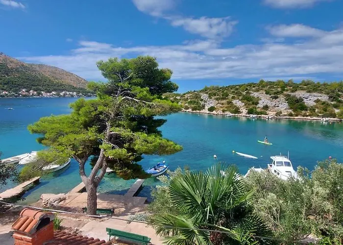 Daire Grubisic Grebaštica